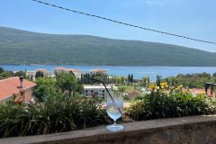 Pogled